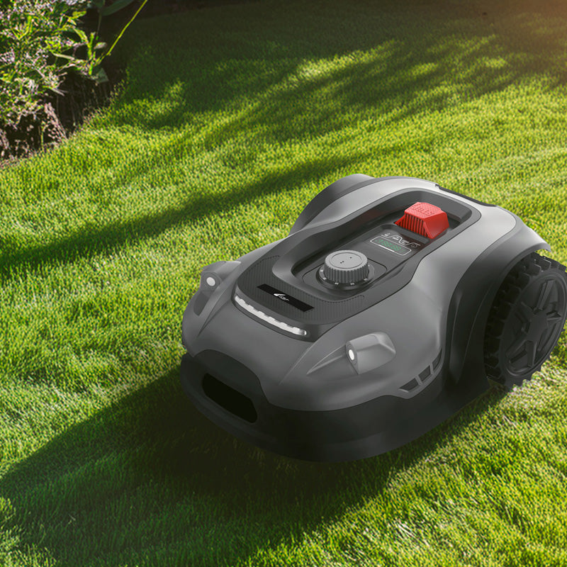 Hans tot 2000m2 met App