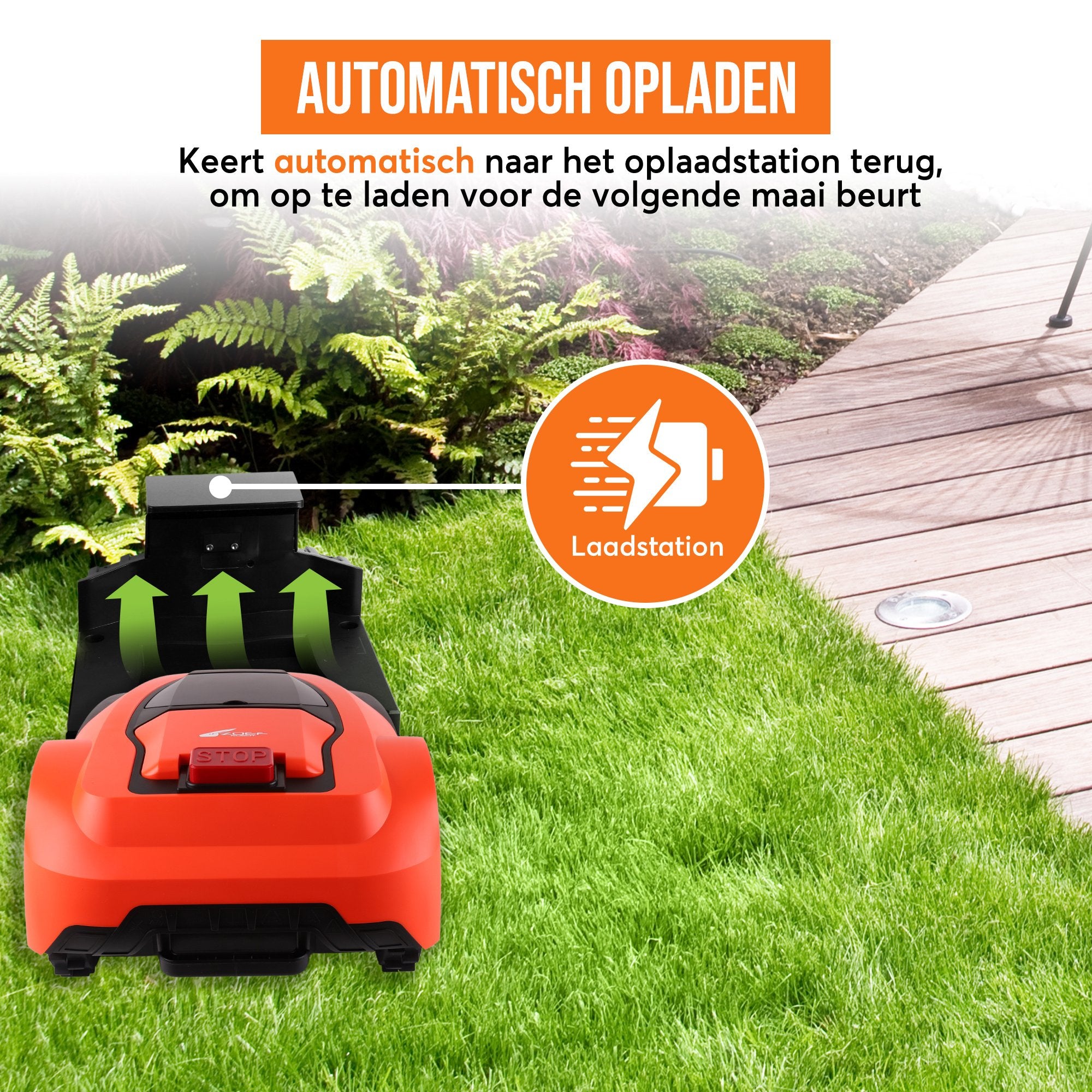 Zoef Robot robotic lawnmower Betsie <1400 m2 with cover